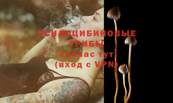 индика Абинск