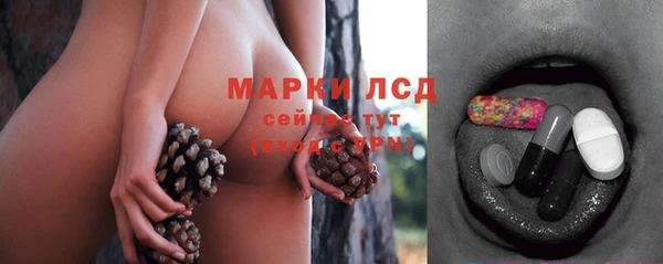 стафф Алексин