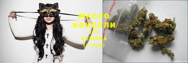 индика Абинск