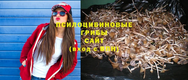 гашик Абаза