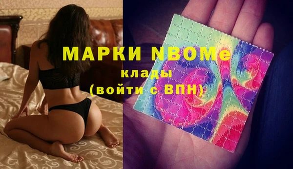 индика Абинск