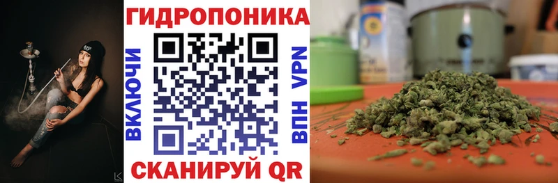 Конопля White Widow Беломорск